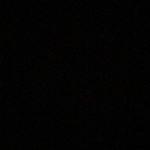 Meet your Posher, Phoebe